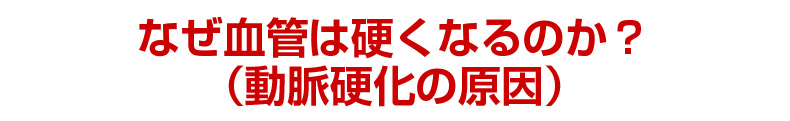 なぜ血管は硬くなるのか？