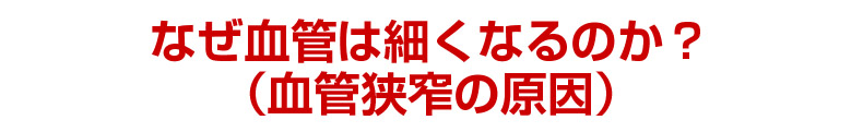 なぜ血管は細くなるのか？