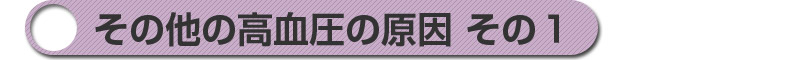 その他の高血圧の原因　その１